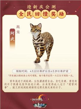 暗黑黎明天龙八部私服